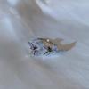 Anillo de Camelia con Pedrería Retro - Joyería de Moda para Mujer para el Dedo Índice con Forma de Flor de Rosa