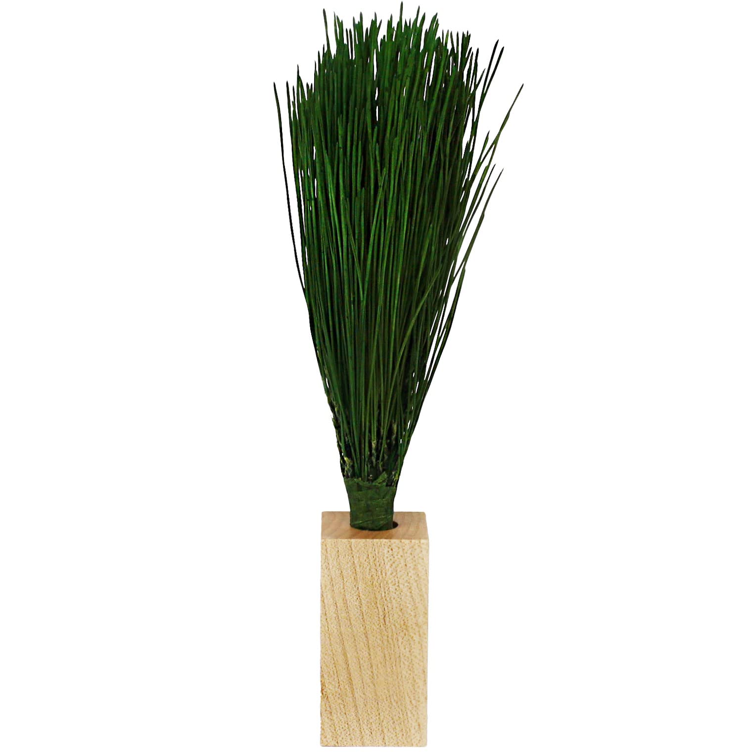 

A&K Premium Arajin Pine Preserved Flower Set with Vase (Medium SizeKanto Style) for Offerings (Tamba Produce) Sakaki Arajin