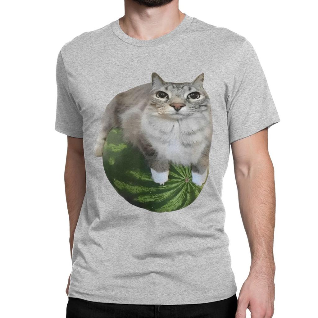 Watermelon Cat Silly T Shirt for Men Women 100 Cotton TShirt Round Collar Funny Meme Tee Shirt Short Sleeve Clothes Plus Size