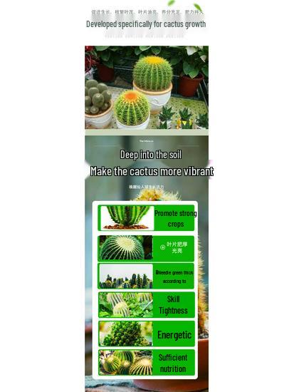 Cactus & Bonsai Organic Root & Flower Fertilizer - Slow-Release Nutrient Soil Enhancer