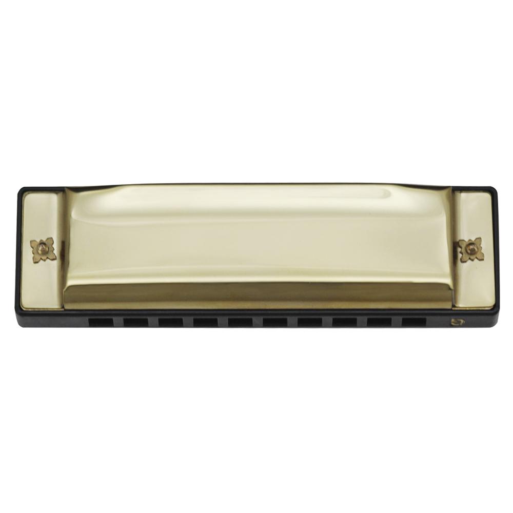G 20 Mouthorgan 10 Holes 20 Tones Key of G Blues Harmonica with ABS Box for Beginners Music Lovers Christmas Gift Wind
