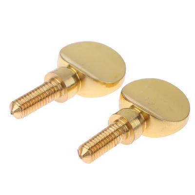 2 Stück Saxophon-Halsschraube, Anzugsschraube, Saxophon-Ersatzwerkzeug, Teil, Hals-Empfängerschraube, Zubehör für Holzblasinstrumente