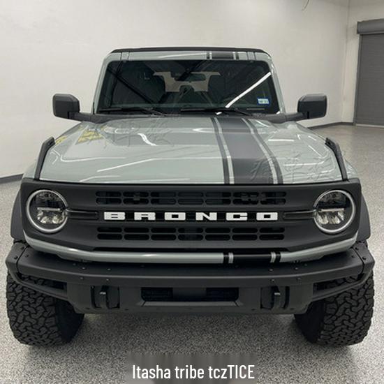 Bronco Wild Horse Car Hood & Pinstripe Stickers for Decoration & Modification