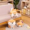 Internet Celebrity New Cute Achai Wolfberry Plush Toy Shiba Dog Doll Children's Birthday Gift Sleeping Doll