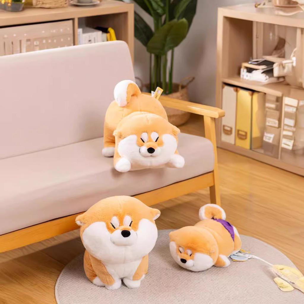 Internet Celebrity New Cute Achai Wolfberry Plush Toy Shiba Dog Doll Children's Birthday Gift Sleeping Doll