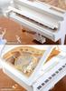 Rotating Ballet Girl Music Box - Ideal Birthday & Children's Day Gift for Girls