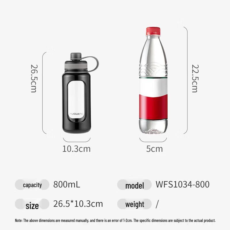 

FUGUANG Double-Layer Borosilicate Glass Tea Infuser Bottle