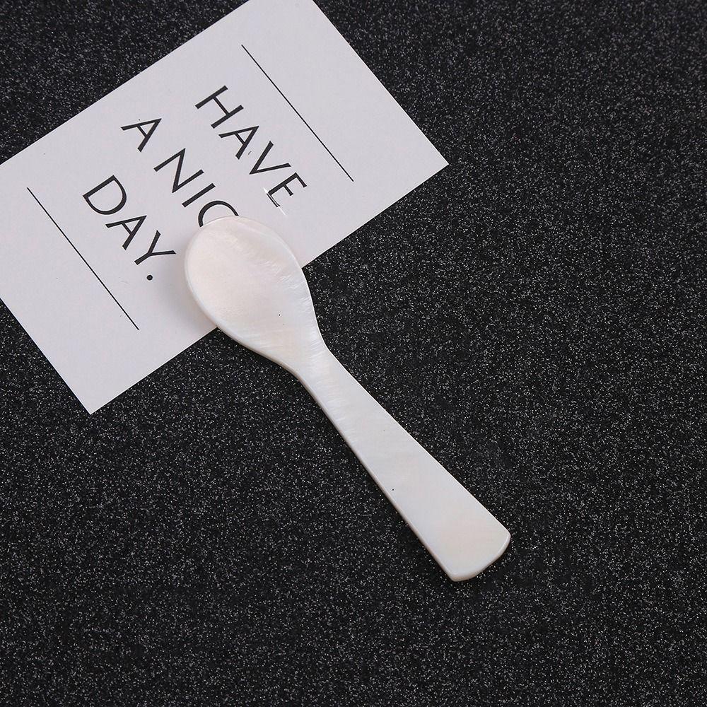 Ice Cream Conch Natural Stirring Tool Teaspoon Caviar Spoons Coffee Scoop
