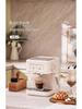 20Bar 110V/220V Fully Automatic Italian Coffee Machine with Milk Frother