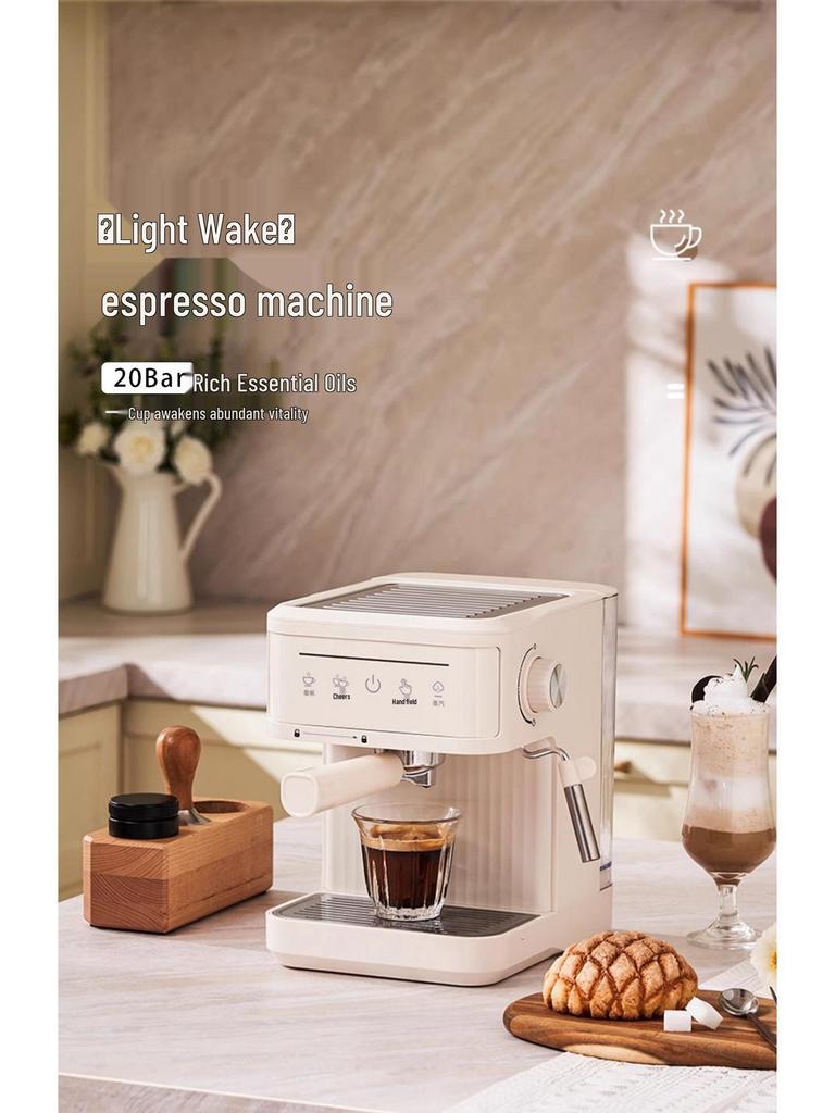 20Bar 110V/220V Fully Automatic Italian Coffee Machine with Milk Frother