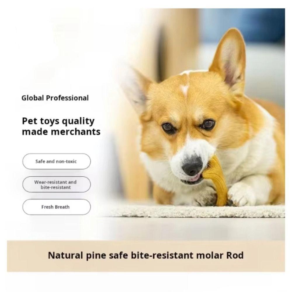Creative Puppy Molar Toys Bone Shape Dog Interactive Toys Portable Dog Chew Stick  Pet Dental Care