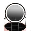 LED Makeup Case with Mirror Travel Organizer Professional Portable Large Capacity Cosmetic Storage