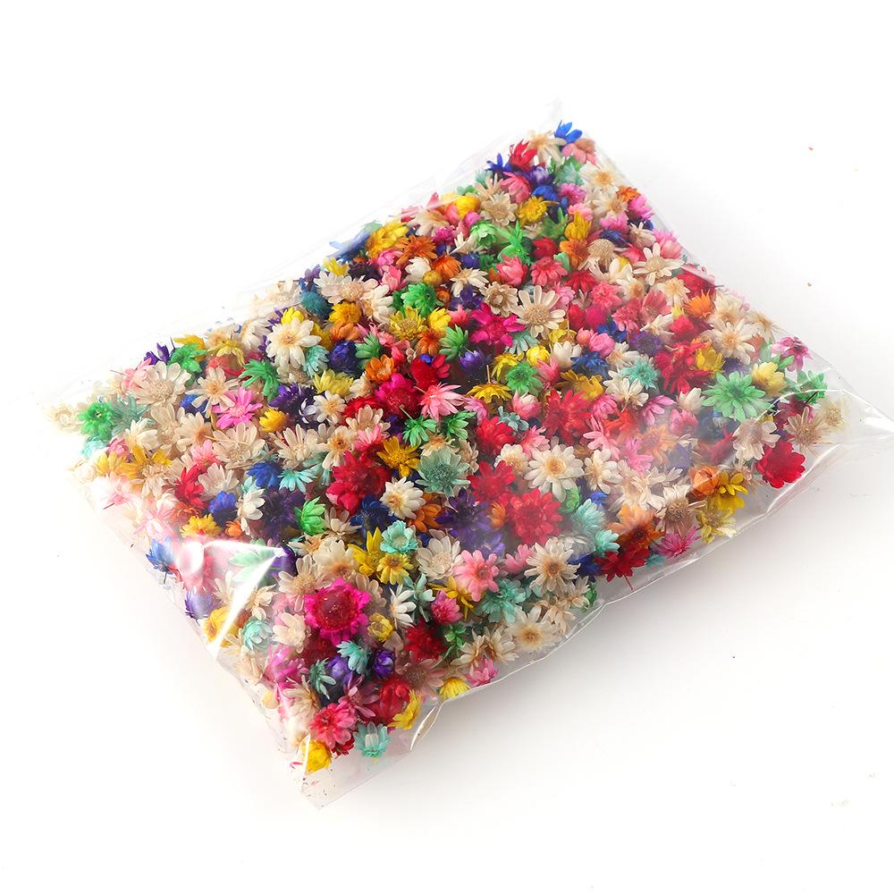 Natural Star Flower DIY Wreath Filler for Wedding Decorations