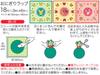 Skater Onigiri Wraps Character Bento Rice (18 Sheets) - Boxes, Balls, Pokémon LBL1-A