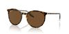 Sunglasses RB2204F HAVANA ON TRANSPARENT 54 Ray-Ban