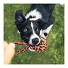 Large Dog Moo Moo Moo, Strong Dog Toys Large Breeds, Heavy Dentistry Dog Rope Toy Set for Medium Dogs, 5 Indestructible Dog Toys, Cotton Puppy Moo