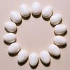 10pcs Realistic Dummy Eggs Multi-size Parrot Eggs Model Simulation Bird Eggs  For Budgie Cockatiel