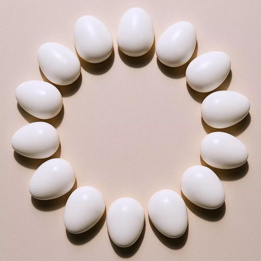 10pcs Realistic Dummy Eggs Multi-size Parrot Eggs Model Simulation Bird Eggs  For Budgie Cockatiel