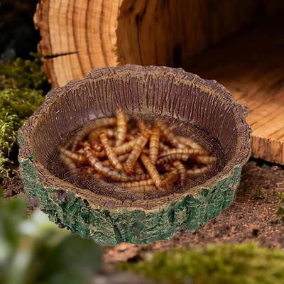 Small Reptile Food Dish, Resin Feeder Lightweight Compact Multifunctional Unique Accessory Feeding