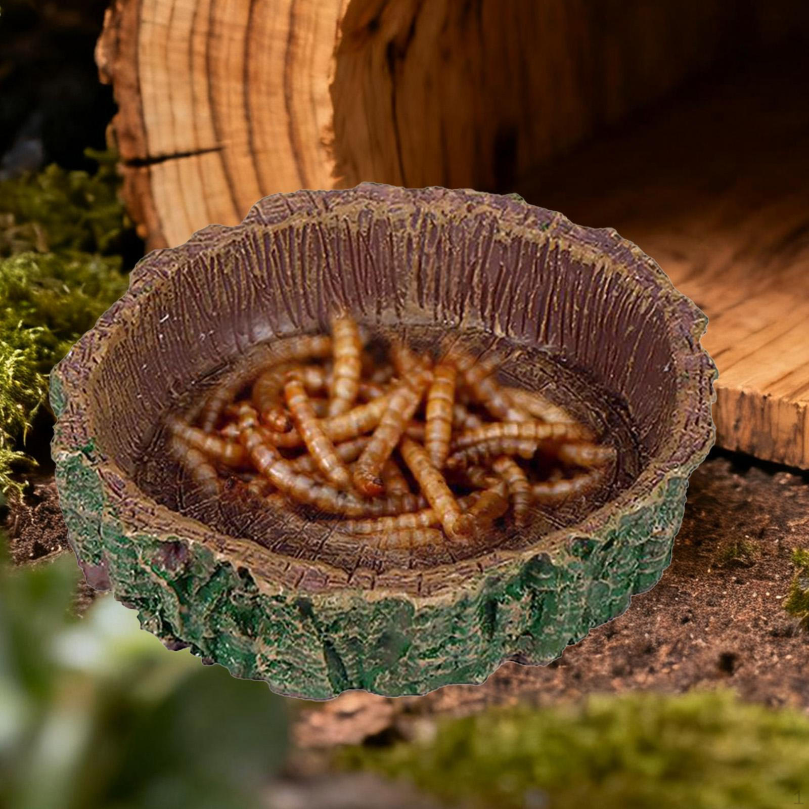 

Small Reptile Food Dish, Resin Feeder Lightweight Compact Multifunctional Unique Accessory Feeding