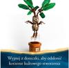 LEGO Гарри Поттер 76433 Мандрагора