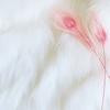 Background Fabric Easy-using Reusable Polyester Faux Fur Background Cloth for Video