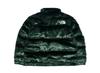 Supreme The North Face Faux Fur Nuptse Jacket Green