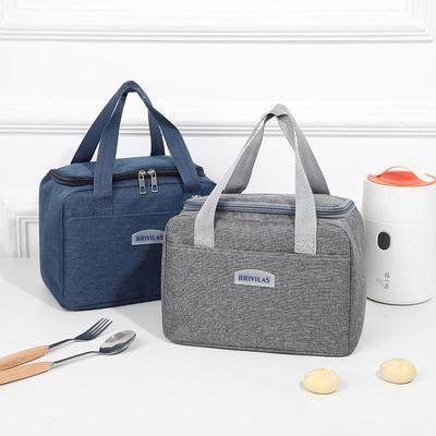 Kationische Isolierte Große Lunch-Handtasche
