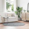 VidaXL Shaggy Rug with Long Pile Silver Grey 160x160 Cm Polyester, Rug, Bedroom Rug, Modern Rug, Living Room Rug, 4102916