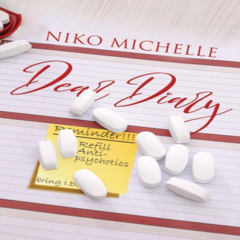 Dear Diary by Niko Michelle Paperback Book 9781645563877