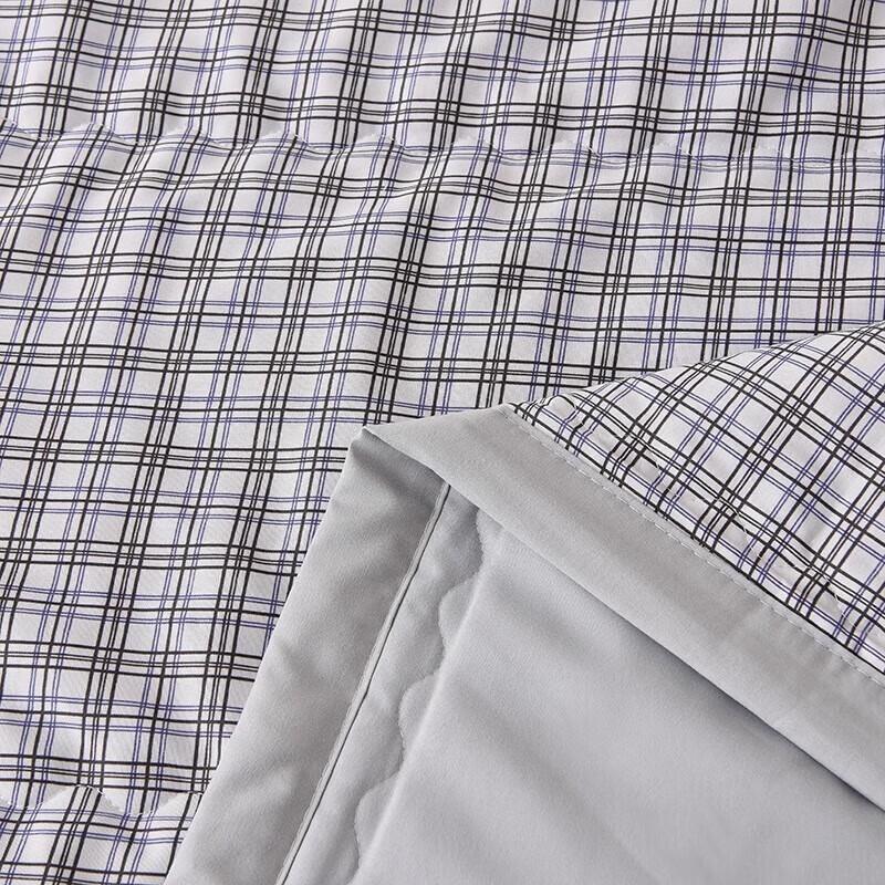 Manya Home Antibacterial Lightweight Polyester Summer Quilt