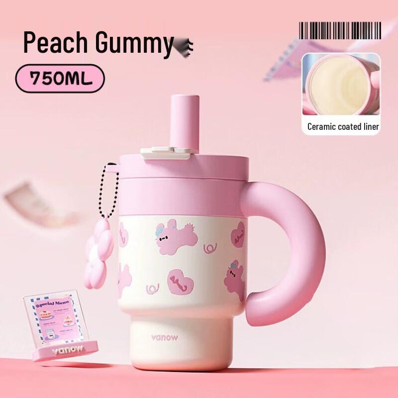 Vanow Insulated Tumbler with Ceramic Liner and Straw