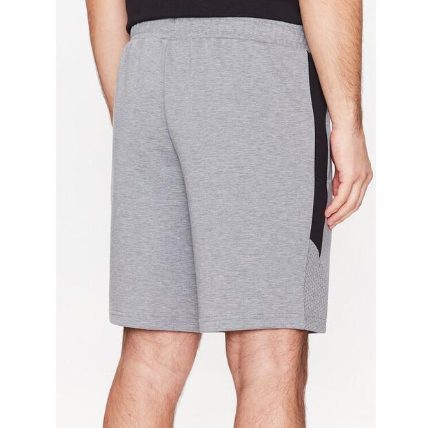 Puma Bmw M Motorsport Shorts