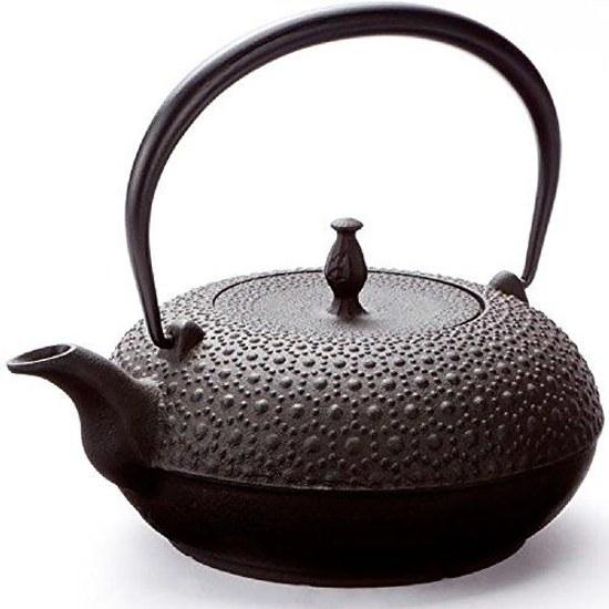 Sugiyama Nambu Ironware Teapot Shinonome Kikkō 1.0L IH Compatible H-200