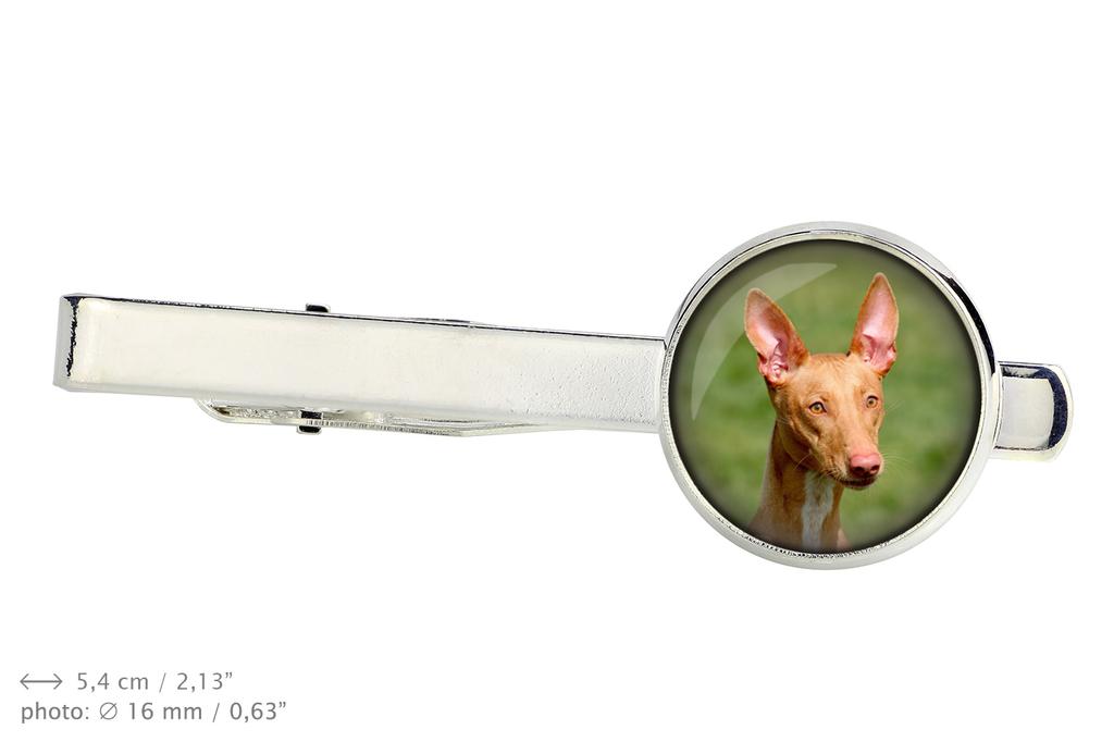 Pharaoh Hound, Kelb tal-Fenek - tie clip in a box, stylish tie, personalized jewelry from the Art-Dog brand