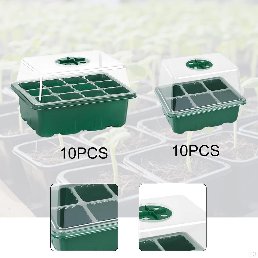 10 Pieces Plant Starter Tray Trays Indoor Nursery for Wheatgrass Growing