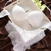 European & American Lace Push-up Bra and Panty Set - Sexy, Comfortable, Underwire Design