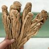 Raiz de Angélica Orgânica Seca Danggui Chá de Ervas Chinês 250g