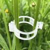 100/200/300Pcs Plant Support Clips Reusable Plant Binding Clip Tomato Trellis Clips for Vine Vegetables Grow Upright Healthier