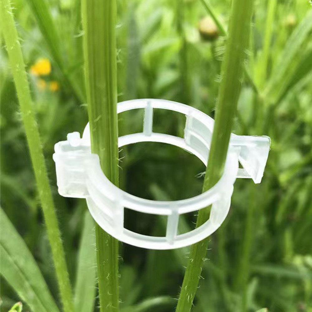 100/200/300Pcs Plant Support Clips Reusable Plant Binding Clip Tomato Trellis Clips for Vine Vegetables Grow Upright Healthier
