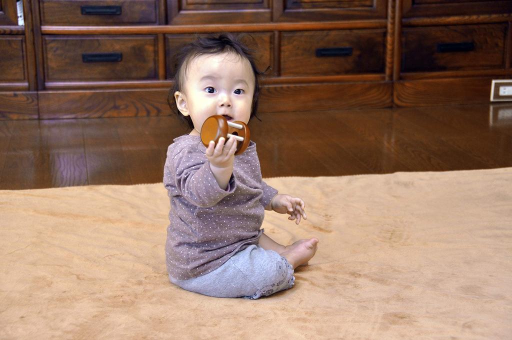Sakai Sangyo Forest Roller Baby Made in Shake and First Natural Gift (Brown) Toy, Japan, Roll, Baby's Toy, Wooden, Color,