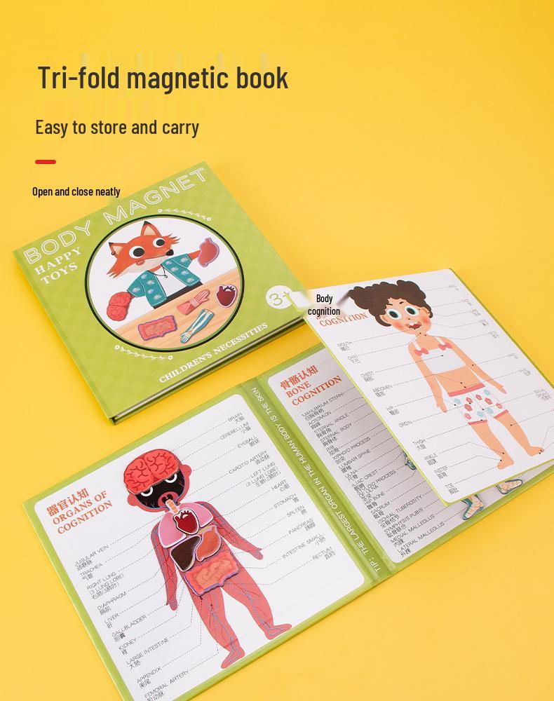 Magnetic Human Body Learning Book: Skeleton & Organs for Kids