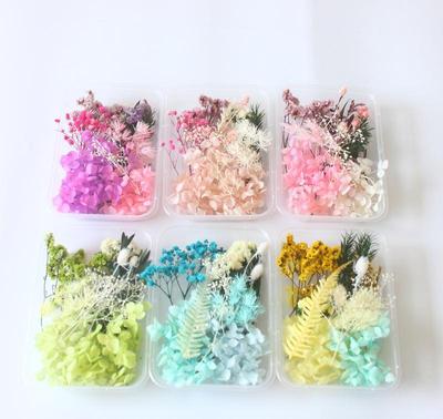 Eternal Flower DIY Kit: Dried Flower Photo Frame, Round Fan, Floating Bottle, Real Flower Arrangement for Living Room or Kindergarten Decor.