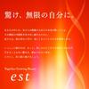 Est Est The Glowing Cream Makeup Sponge (Est) (1 Piece)