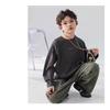 Boys' Long Sleeve T-Shirt: 2025 Spring & Autumn Style, Round Neck, Outdoor Trendy Top for Kids