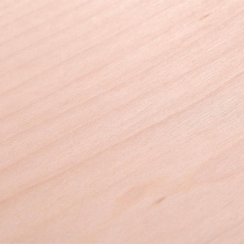 ISL Natural Wood Slices, Maple, A4 Size, 210 X 297mm, Set of 10