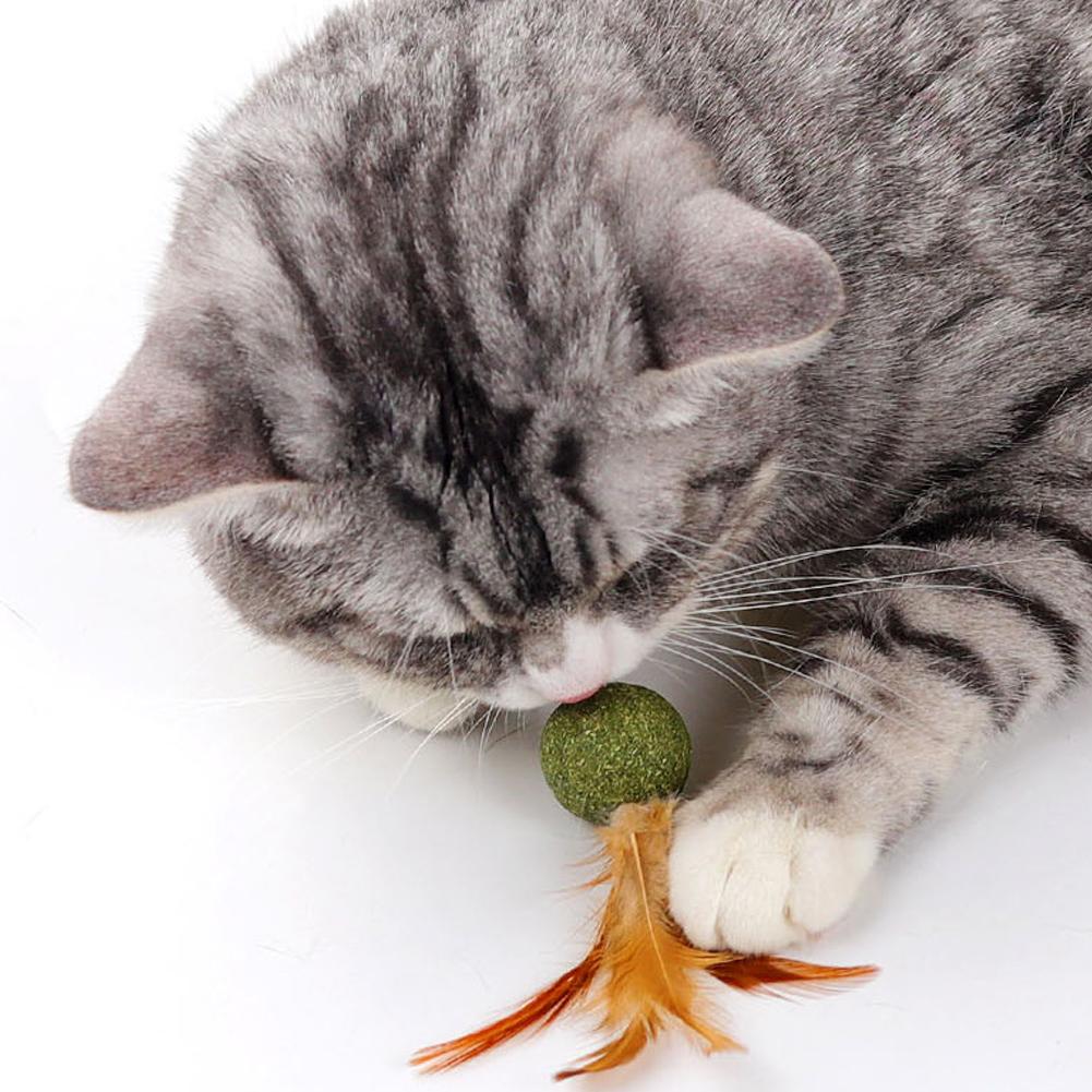 1PC Cat Mint Ball Feather Catnip Ball Self Cleaning Teeth Grinding Ball Feather Toy Ball Pet Toys Cat Supplies Pet Cleaning Tool