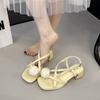 French beautiful open-toed sandals women's summer wear 2025 new silver thick heel set toe cool slippers fashion Roman shoes