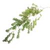Artificial Needle Vine, Wall Mounted Plant Wall Decor, Hanging Floral Vine for Wedding Ceiling & Home Decoration
