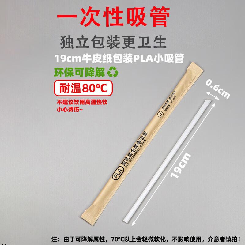 Homeglen PLA Degradable Individually Wrapped Straws